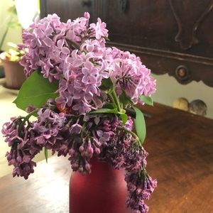 Meet your Posher, Shelley